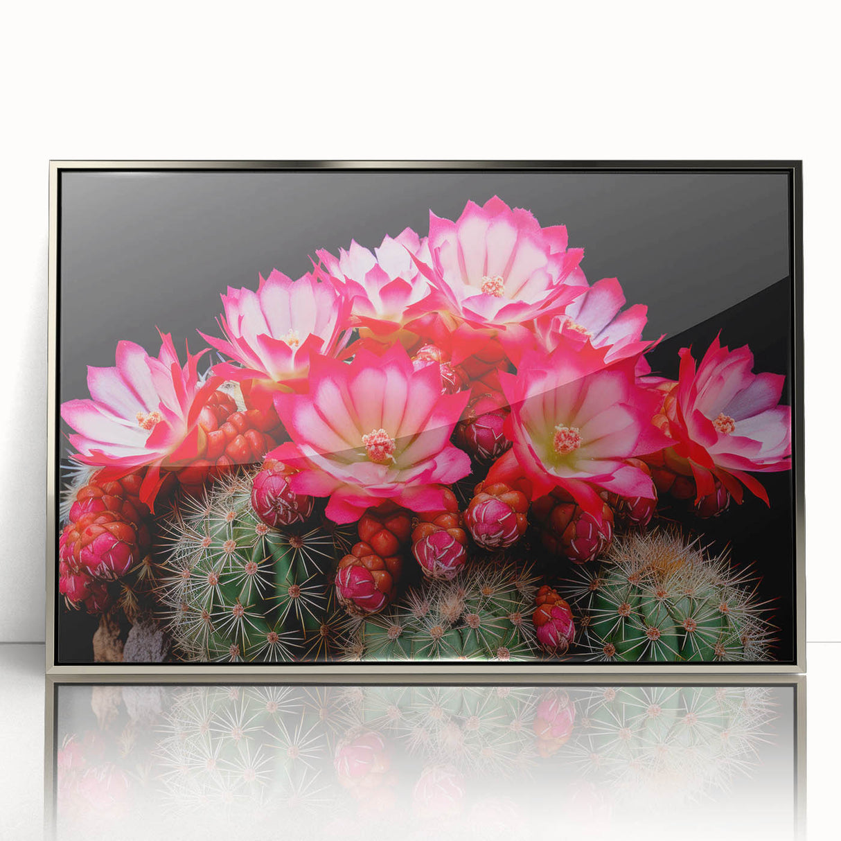 Framed wall art featuring a botanical cactus design in vibrant colors, set in a sleek silver frame, ideal for modern home decor and nature enthusiasts.