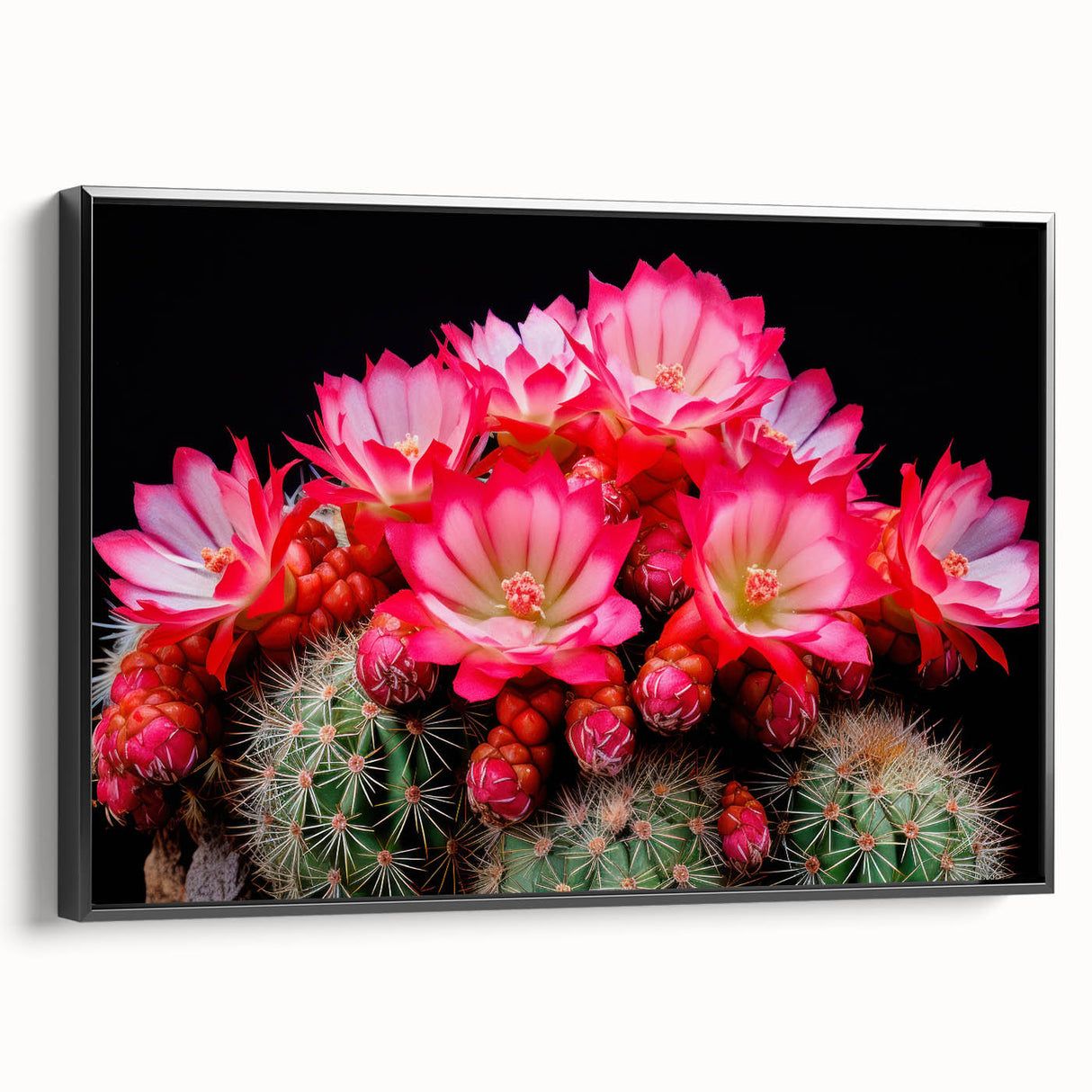 Framed wall art showcasing a botanical cactus design in vibrant colors, featuring a black frame, perfect for modern home decor. Ideal for nature enthusiasts.