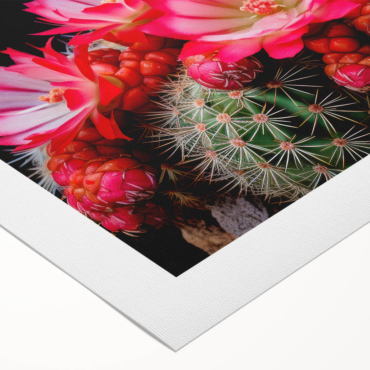 Rolled canvas wall art featuring a vibrant botanical cactus design, showcasing intricate details and lush green hues, perfect for home decor enthusiasts.