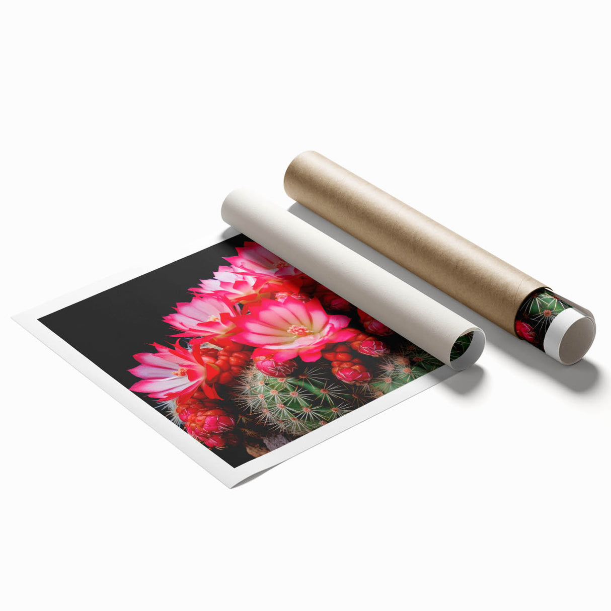 Botanical wall art print featuring a vibrant cactus design with intricate details and a colorful palette, rolled and ready for framing, perfect for home decor.