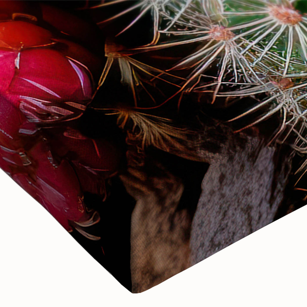 Close-up of a vibrant botanical cactus wall art design on stretched canvas, showcasing intricate details and rich colors, perfect for modern home decor.