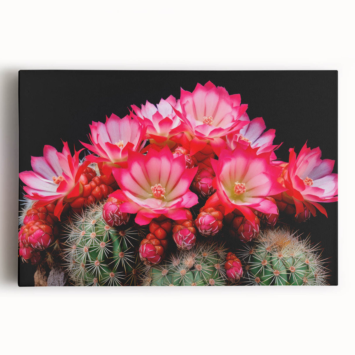 Vibrant botanical wall art featuring a detailed cactus design on stretched canvas, showcasing rich greens and earthy tones, perfect for home decor enthusiasts.