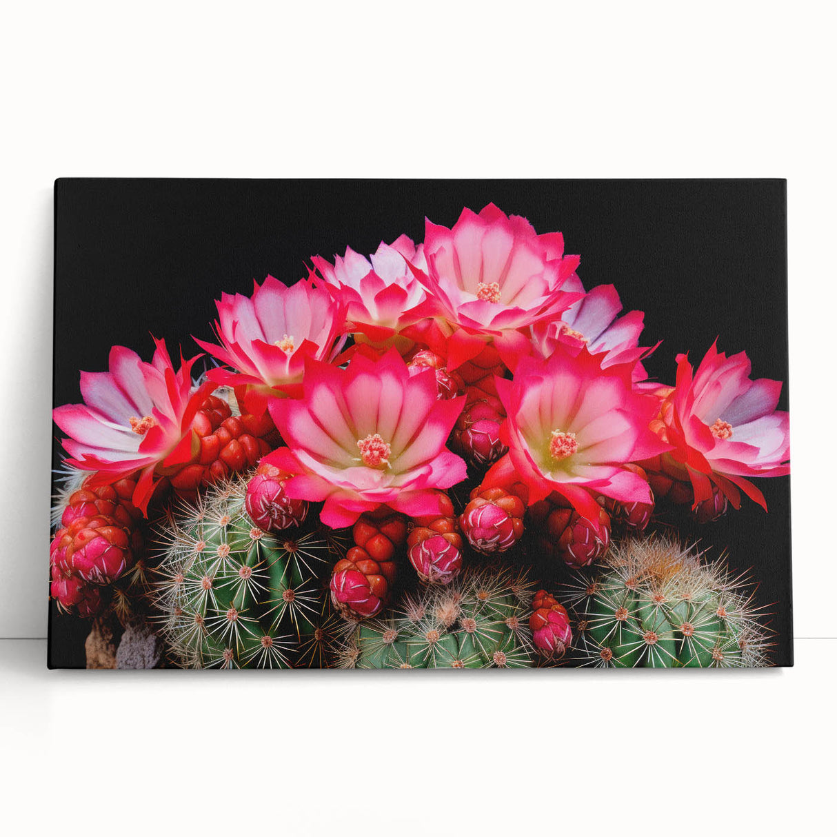 Botanical wall art featuring a vibrant cactus design on stretched canvas, leaning against a neutral background, perfect for modern home decor.