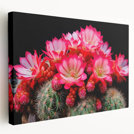 Stretched canvas wall art featuring a botanical cactus design in vibrant green hues. Ideal for modern home decor, this artwork adds a touch of nature's elegance to any space.