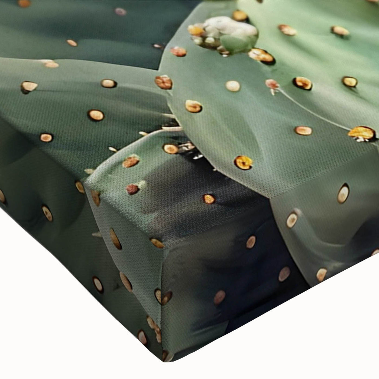 Close-up of a vibrant botanical cactus wall art design on stretched canvas, showcasing intricate details and textures, perfect for modern home decor.