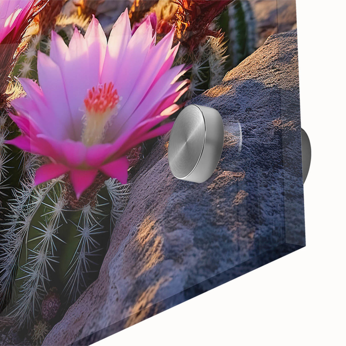 Close-up view of a vibrant botanical cactus design wall art piece, showcasing intricate details and natural colors on a sleek acrylic glass surface, perfect for modern decor.