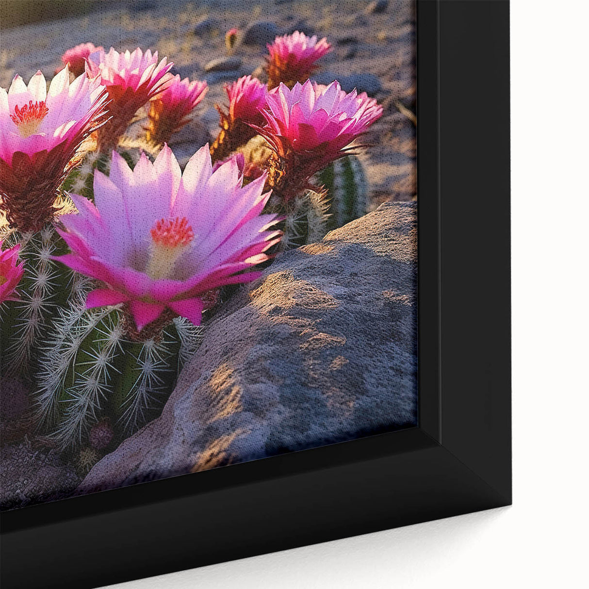 Close-up of a framed botanical wall art piece showcasing vibrant cacti in a colorful design, perfect for enhancing modern home decor with a natural touch.