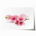 Botanical wall art print showcasing delicate cherry blossoms in soft pink hues against a white background, perfect for adding a touch of elegance to home decor.