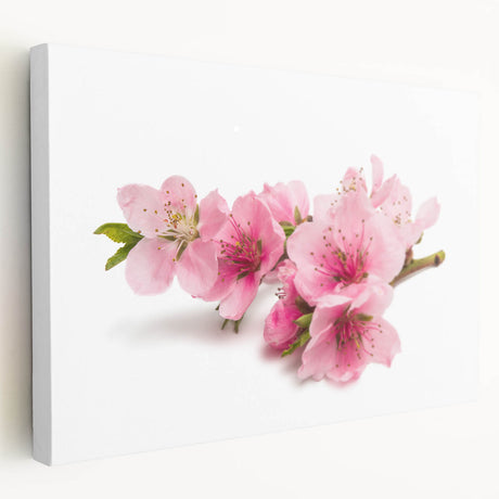 Stretched canvas wall art showcasing a delicate cherry blossom botanical design, with vibrant pink blooms and intricate details, perfect for enhancing home decor.