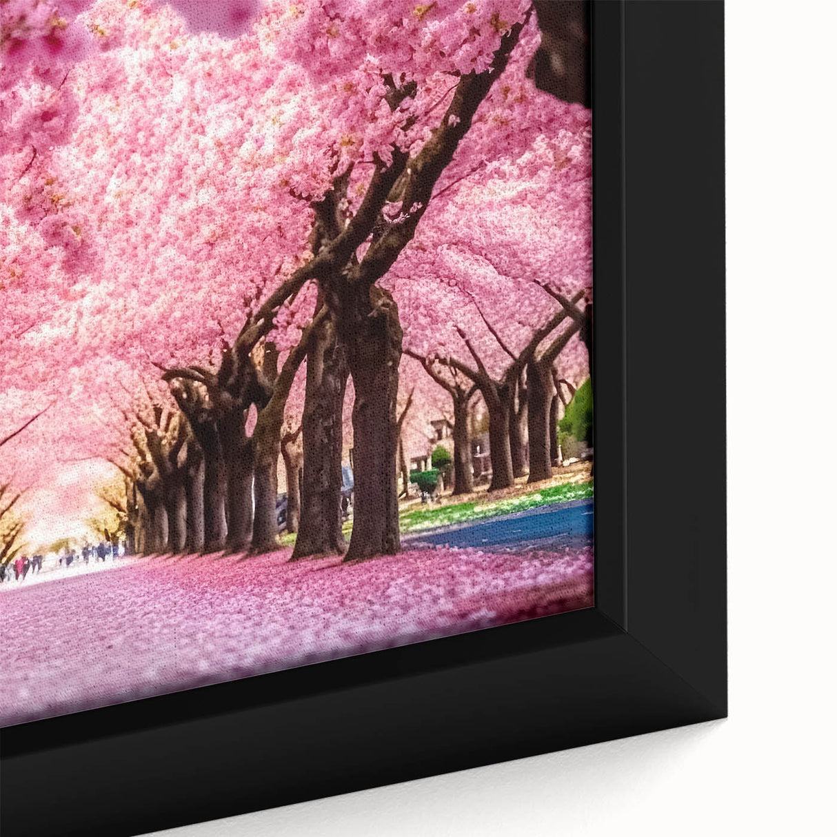 Close-up of a framed canvas wall art piece showcasing delicate cherry blossom flowers with soft pink hues, perfect for botanical decor enthusiasts. This artwork adds a serene touch to any interior space.