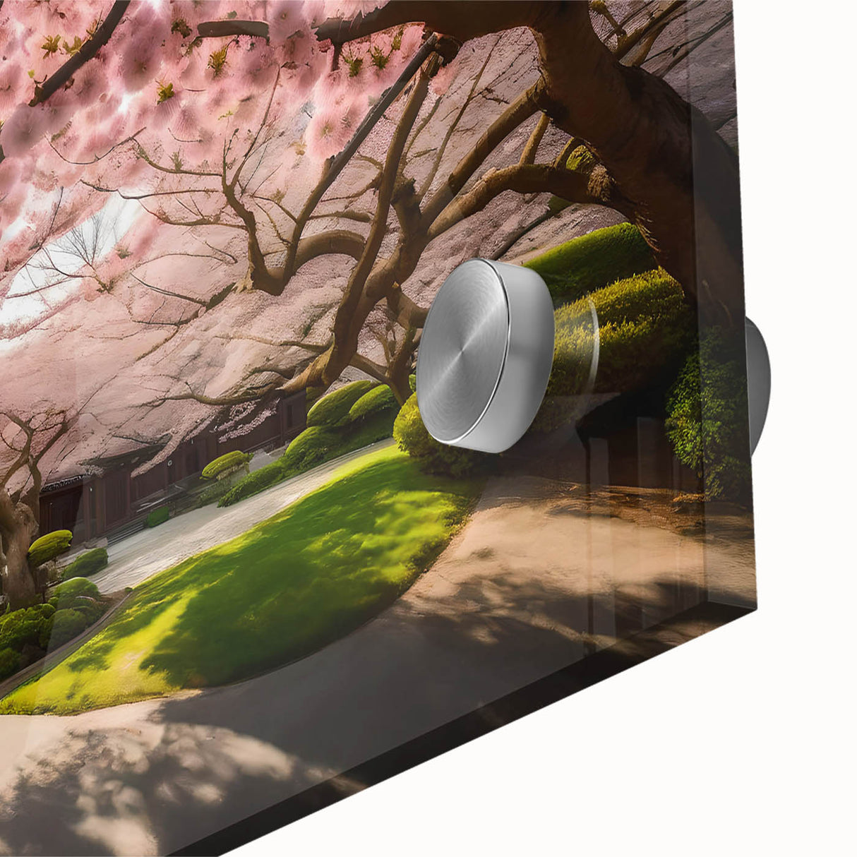Close-up of a botanical wall art piece featuring delicate cherry blossom flowers on an acrylic glass surface, showcasing vibrant pink hues and intricate details for a serene decor accent.