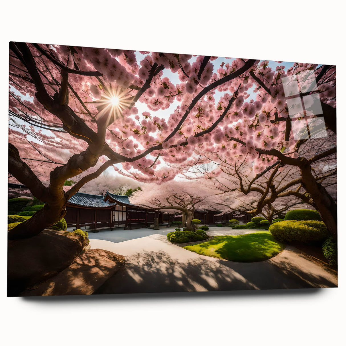 Acrylic glass wall art showcasing a delicate cherry blossom botanical design, elegantly displayed from the side, highlighting its vibrant colors and sleek finish.