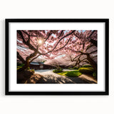 Black-framed wall art featuring a botanical cherry blossom design, elegantly matted for a polished look, perfect for enhancing modern home decor.