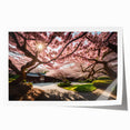 Cherry blossom wall art print showcasing delicate pink flowers on a soft white background, rolled and ready for display. Perfect for nature-inspired decor.