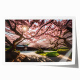 Cherry blossom wall art print showcasing delicate pink flowers on a soft white background, rolled and ready for display. Perfect for nature-inspired decor.