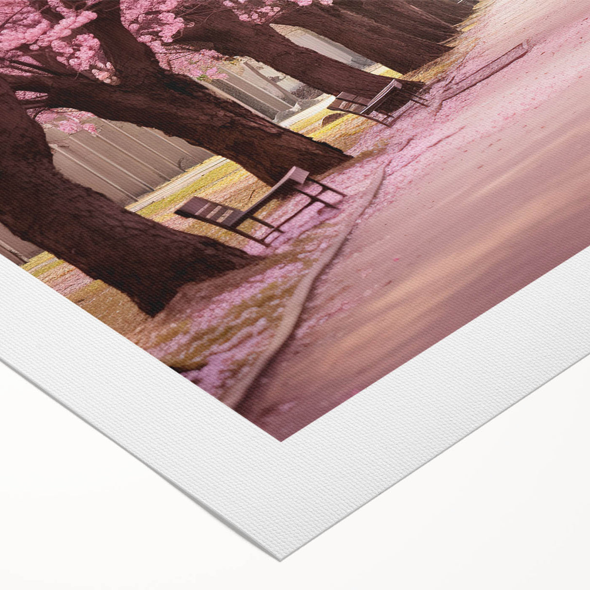 Cherry blossom wall art design on rolled canvas, showcasing delicate pink flowers against a soft white background, ideal for home decor and nature lovers.