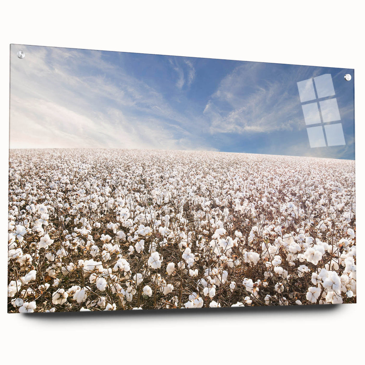 Botanical wall art design printed on cotton fabric, displayed in an acrylic frame with pins, showcasing vibrant flowers and intricate details, ideal for home decor.
