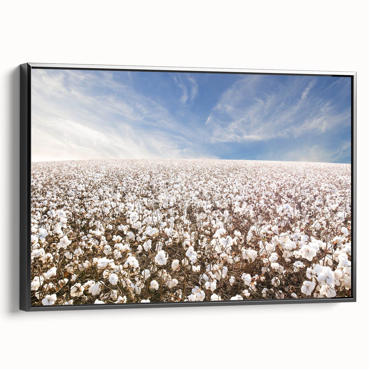 Framed canvas wall art featuring a botanical design with vibrant flowers on a black background, showcasing elegant details and texture, perfect for home decor.