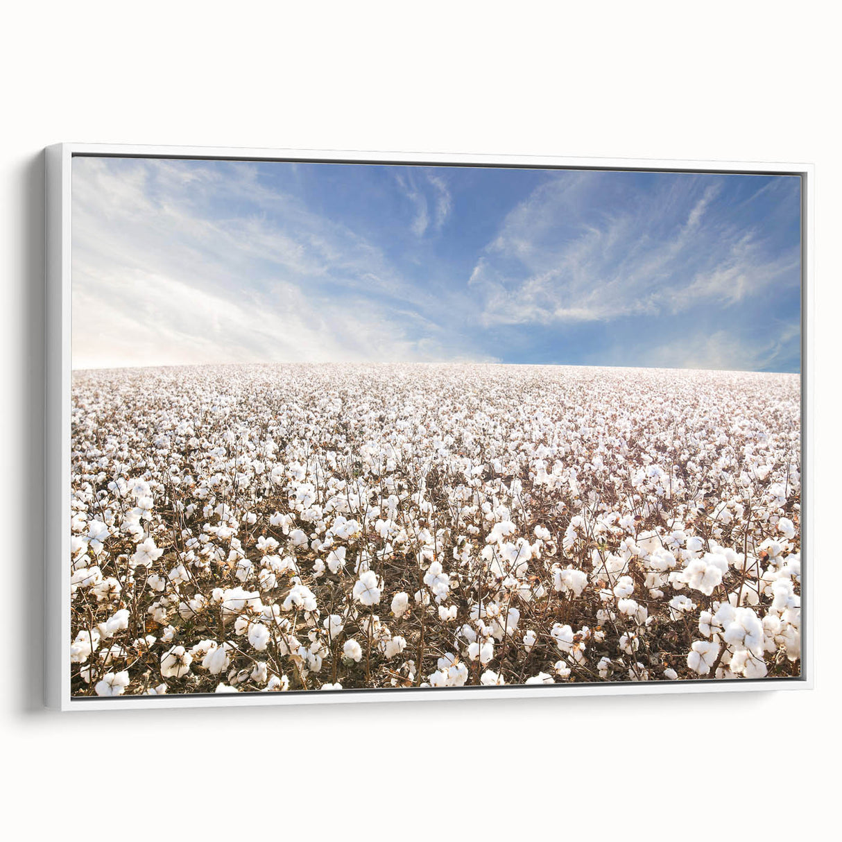 Framed botanical wall art displaying a vibrant floral design on cotton canvas, featuring a white frame and side view showcasing its elegant profile.