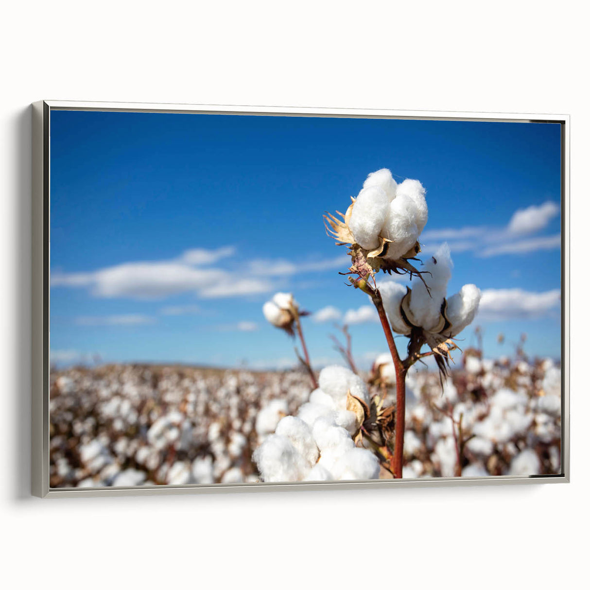 Framed wall art featuring a botanical design of vibrant flowers on cotton canvas, showcasing a silver frame that enhances the aesthetic appeal for modern decor.