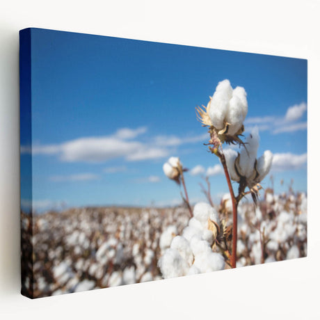 Stretched canvas wall art showcasing a vibrant floral botanical design, featuring rich colors and intricate details, ideal for home decor enhancement.