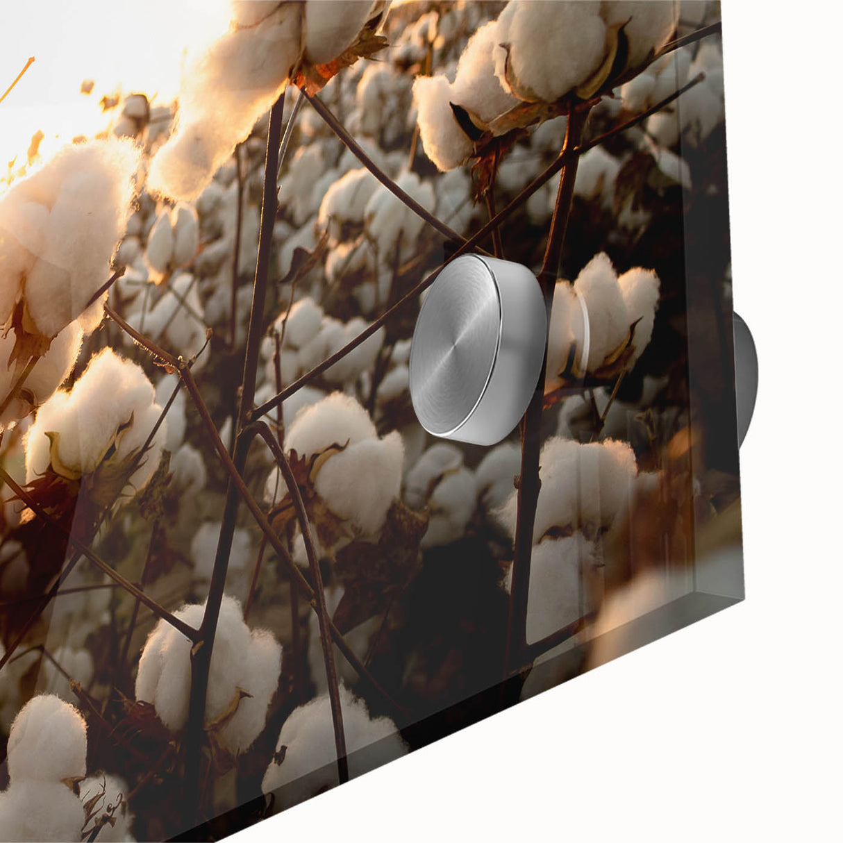 Close-up view of vibrant botanical wall art featuring colorful flowers on cotton fabric, showcasing intricate details and textures, ideal for home decor accents.