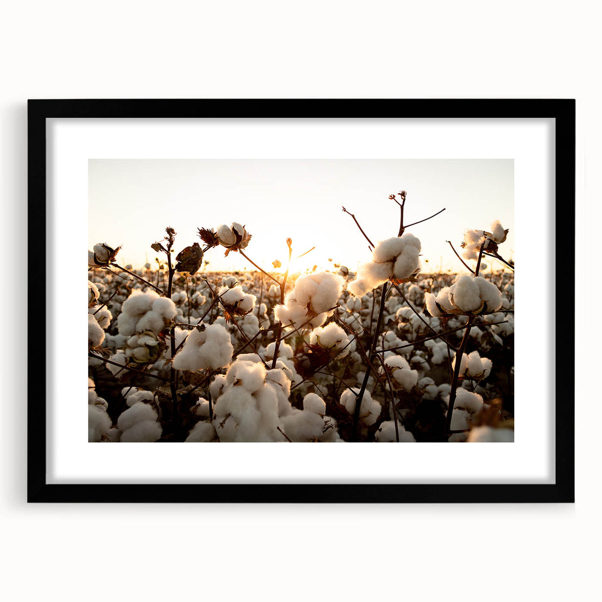 Framed botanical wall art collection featuring vibrant flowers on cotton fabric, set in a sleek black frame with a mat, ideal for home decor and nature enthusiasts.