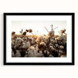 Framed botanical wall art collection featuring vibrant flowers on cotton fabric, set in a sleek black frame with a mat, ideal for home decor and nature enthusiasts.