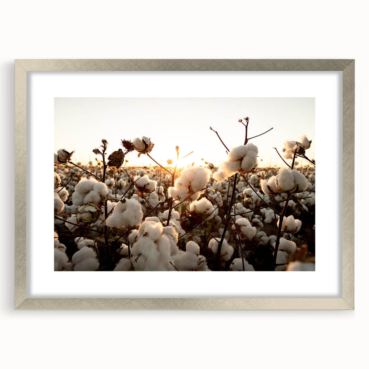 Botanical wall art collection featuring a framed cotton print of colorful flowers with a silver mat, ideal for home decor and nature enthusiasts.