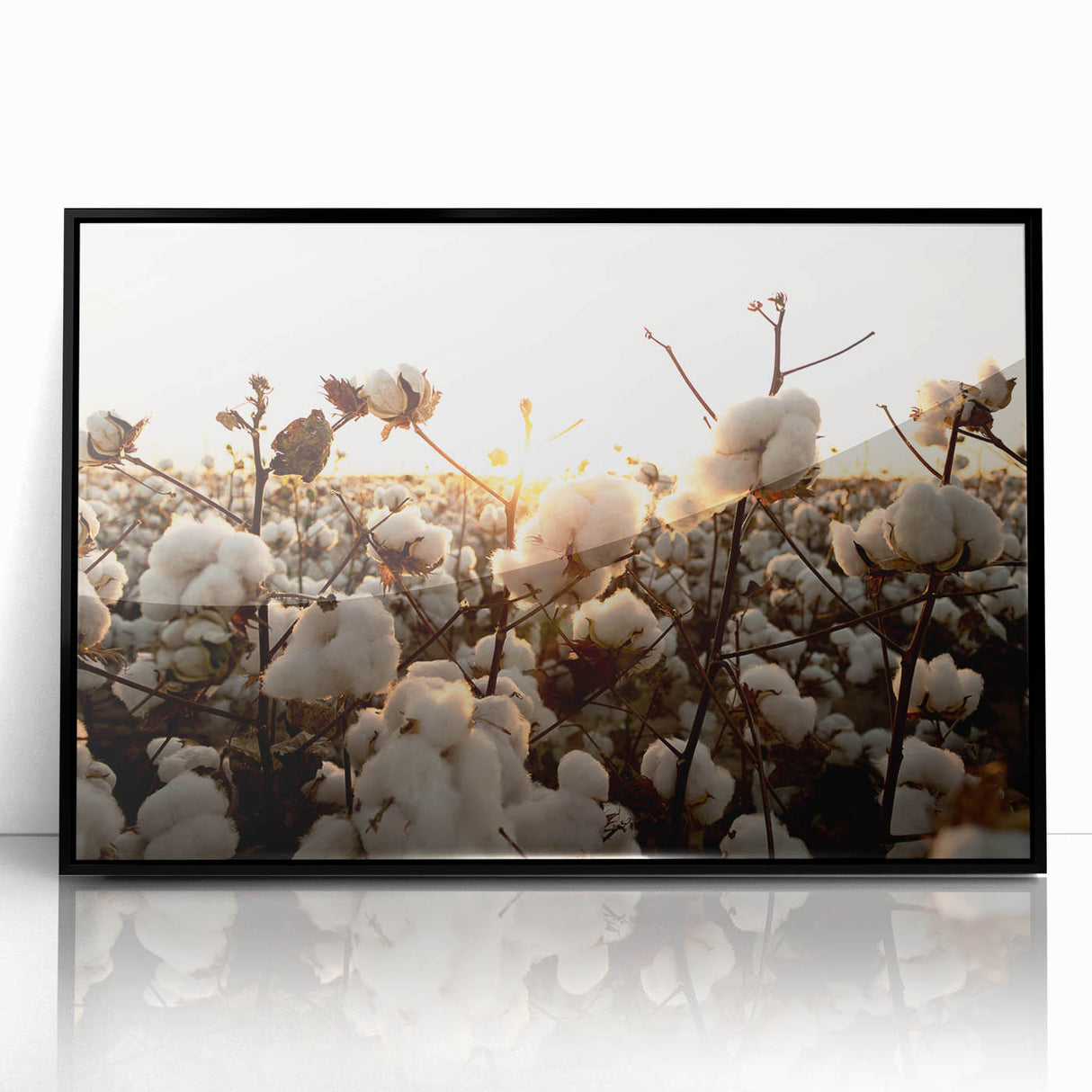 Framed botanical wall art collection showcasing vibrant floral designs on cotton fabric with a sleek black frame, ideal for modern home decor.