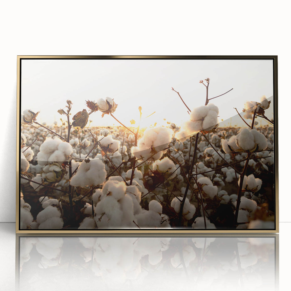 Framed wall art featuring a botanical cotton design with vibrant flowers, set in a sleek gold frame, enhancing home decor with a touch of elegance.