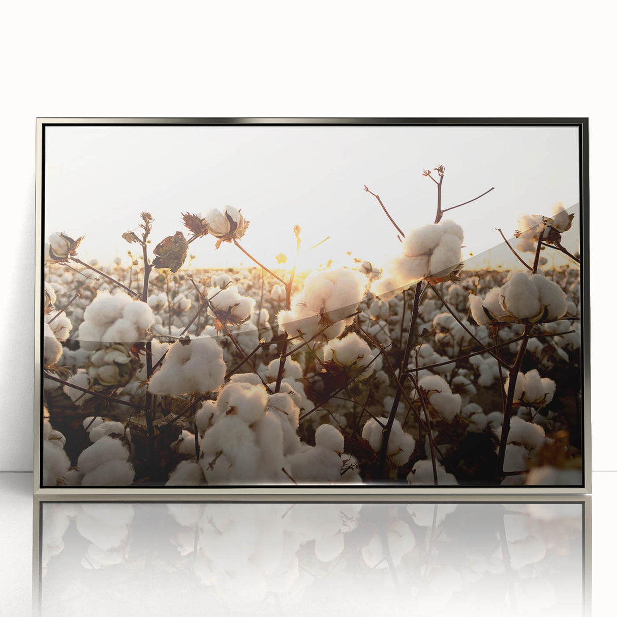 Framed botanical wall art featuring a vibrant floral cotton design with a sleek silver frame, ideal for modern home decor and adding a touch of nature.