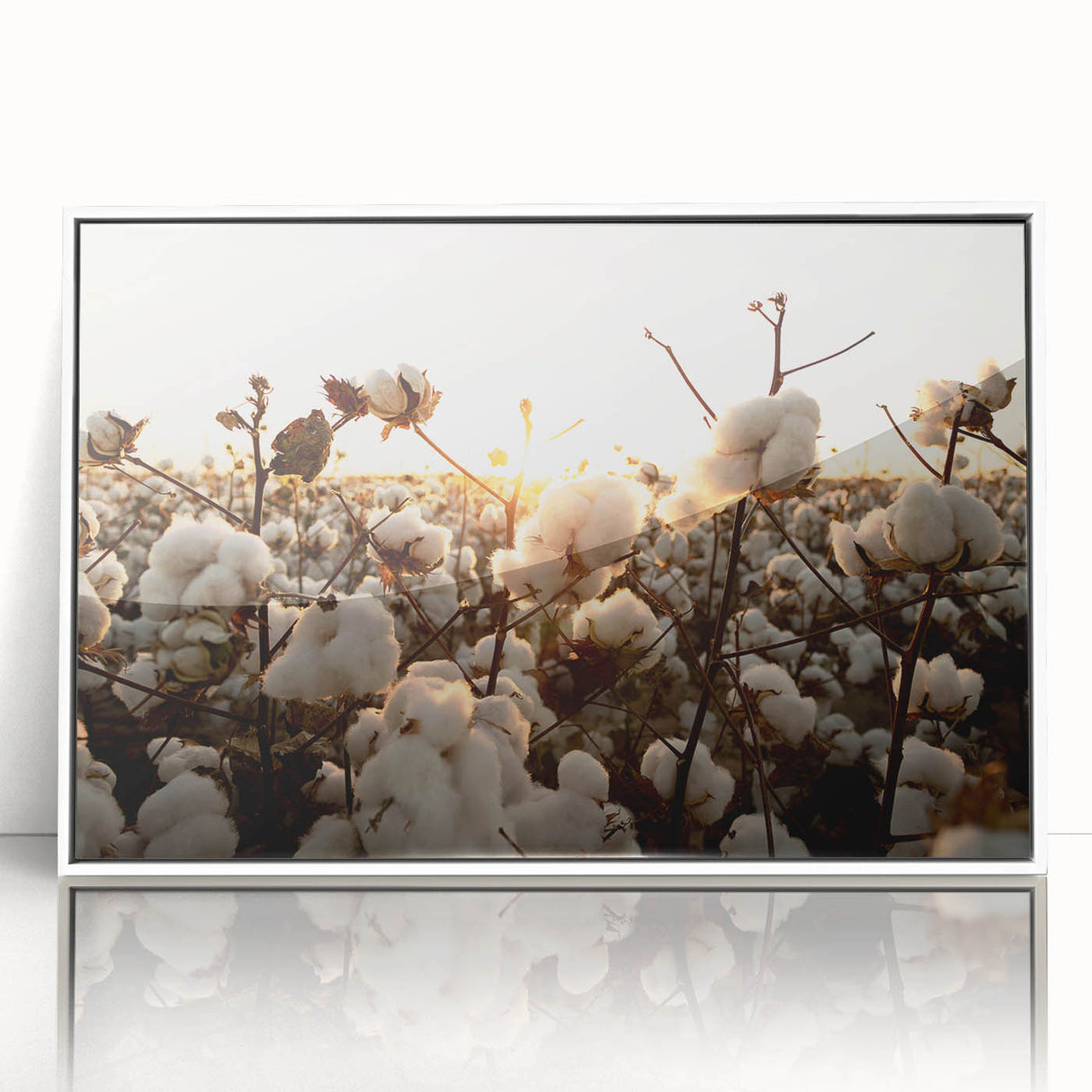 Framed botanical wall art design showcasing vibrant flowers on a cotton background, featuring a sleek white frame and clear acrylic front for a modern decor touch. Perfect for enhancing living spaces with a touch of nature.