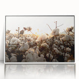 Framed botanical wall art design showcasing vibrant flowers on a cotton background, featuring a sleek white frame and clear acrylic front for a modern decor touch. Perfect for enhancing living spaces with a touch of nature.