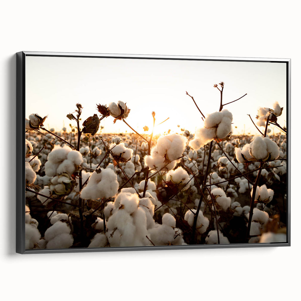 Framed botanical wall art print showcasing vibrant floral designs on cotton canvas, featuring a sleek black frame and side view for added depth and style. Perfect for home decor enthusiasts.