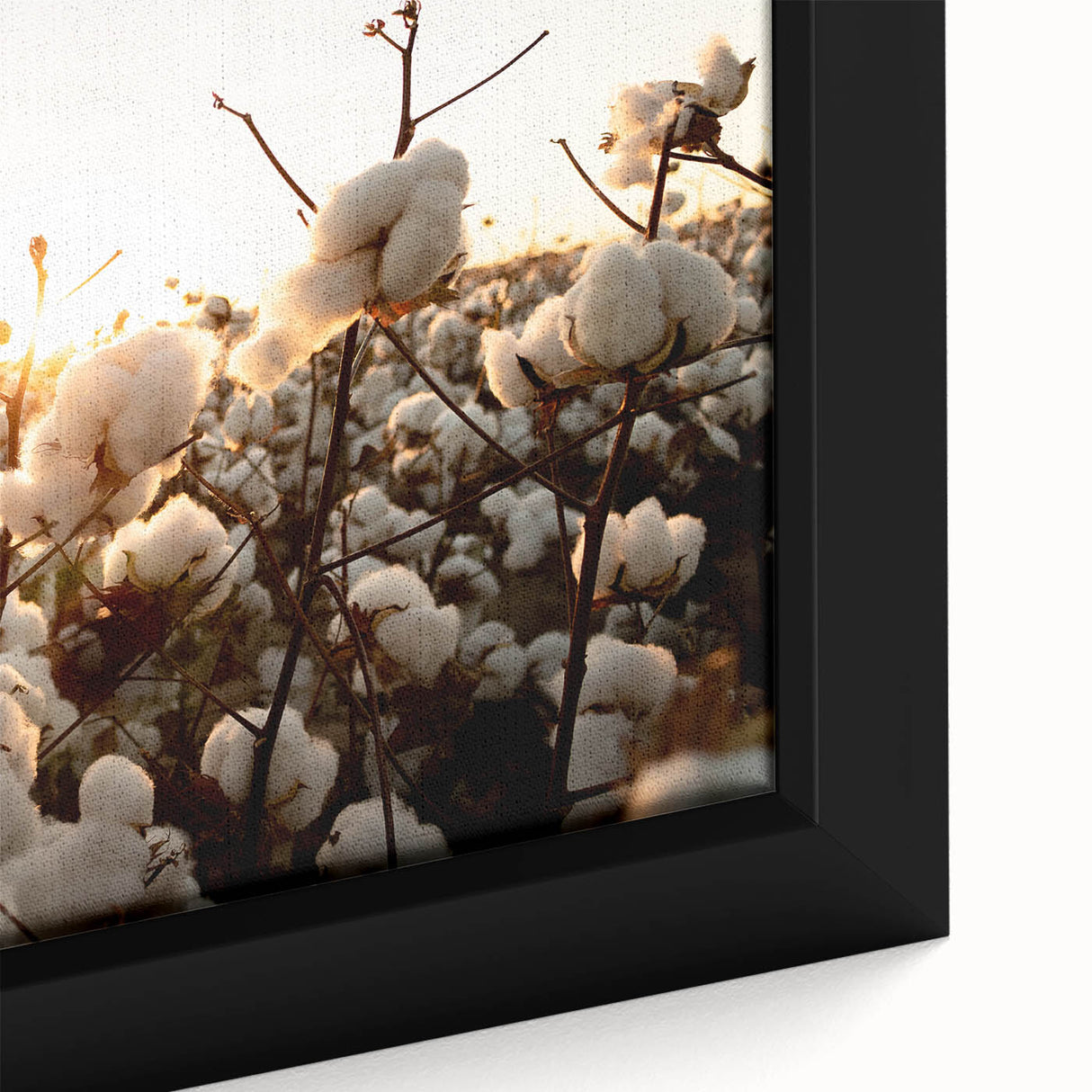 Close-up view of a framed botanical wall art piece showcasing vibrant flowers on cotton fabric, perfect for home decor and adding a natural touch to interiors.