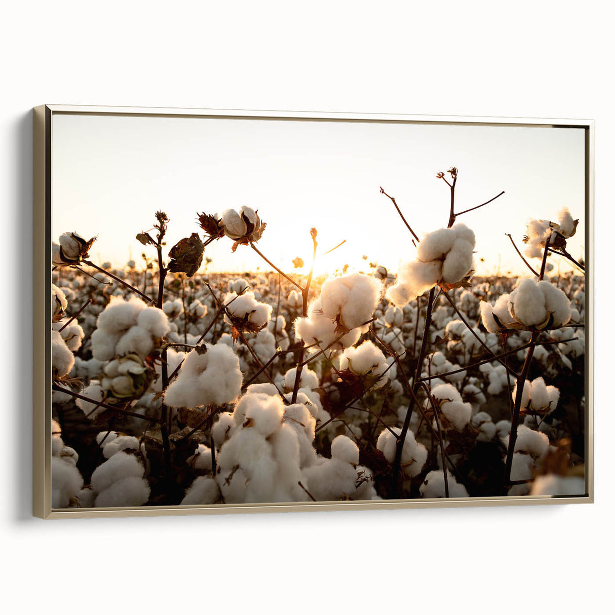 Framed botanical wall art featuring vibrant floral designs on cotton canvas, showcased in a sleek gold frame, ideal for enhancing home decor with nature-inspired elegance.