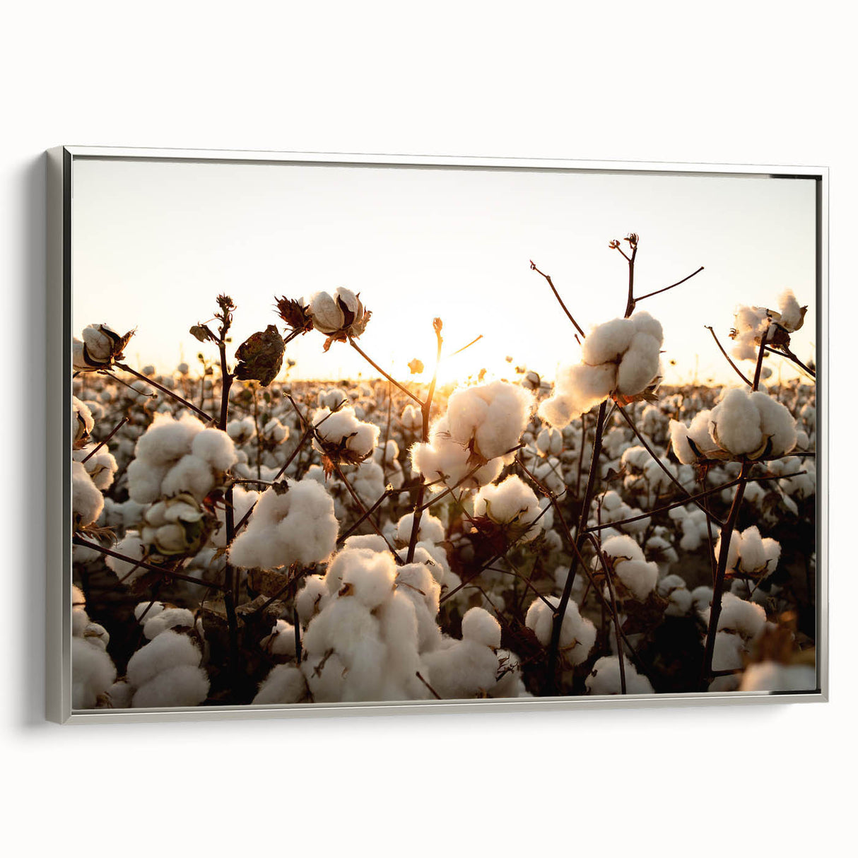 Framed canvas wall art showcasing a botanical flower design in vibrant colors, set against a silver frame, perfect for modern home decor.