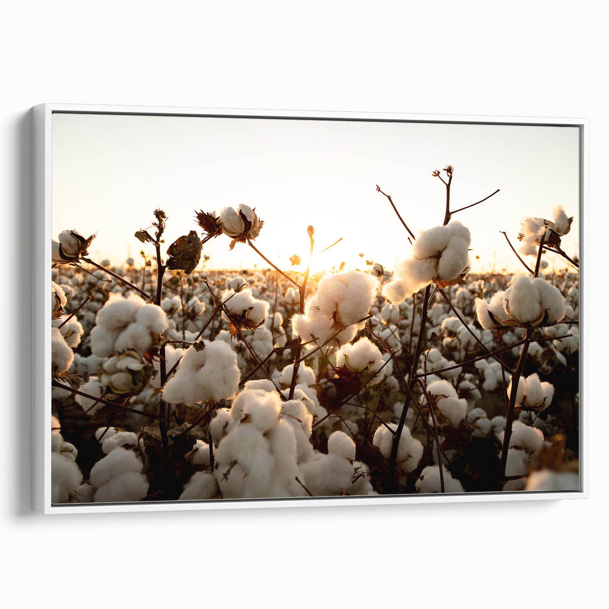 Framed botanical wall art collection showcasing vibrant floral designs on cotton canvas, displayed in a sleek white frame, perfect for modern home decor.