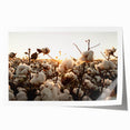 Botanical wall art print showcasing vibrant flowers in a colorful cotton design, rolled and ready for framing, perfect for home decor enhancement.