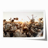 Botanical wall art print showcasing vibrant flowers in a colorful cotton design, rolled and ready for framing, perfect for home decor enhancement.