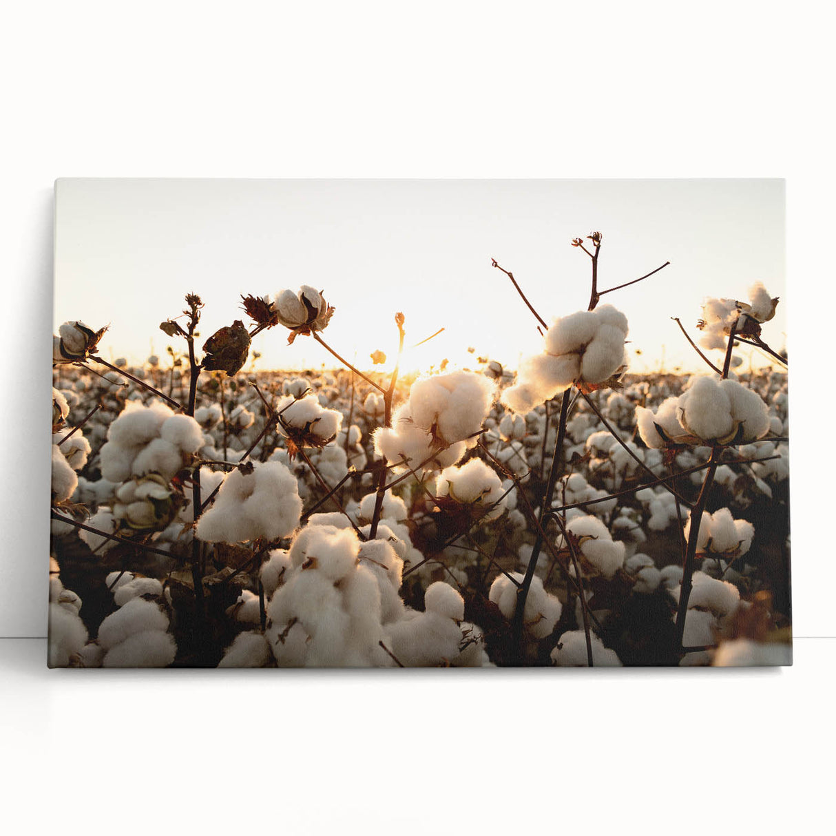 Botanical-themed stretched canvas wall art featuring vibrant flowers in soft pastel colors, elegantly leaning against a white wall, perfect for home decor.