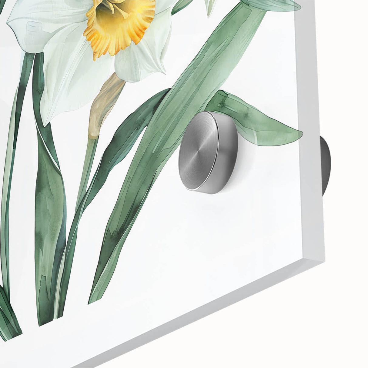 Close-up view of a vibrant daffodil botanical wall art design, showcasing intricate details and bright yellow petals against a sleek acrylic glass surface, ideal for home decor.