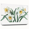 Acrylic glass wall art showcasing a botanical daffodil design, elegantly displayed with decorative pins. The vibrant yellow flowers and intricate details create a stunning focal point for home decor. Perfect for nature enthusiasts and floral art lovers seeking to enhance their interior space.
