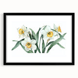 Framed botanical wall art featuring a vibrant daffodil design, set in a sleek black frame with a mat, showcasing elegant floral aesthetics for home decor.