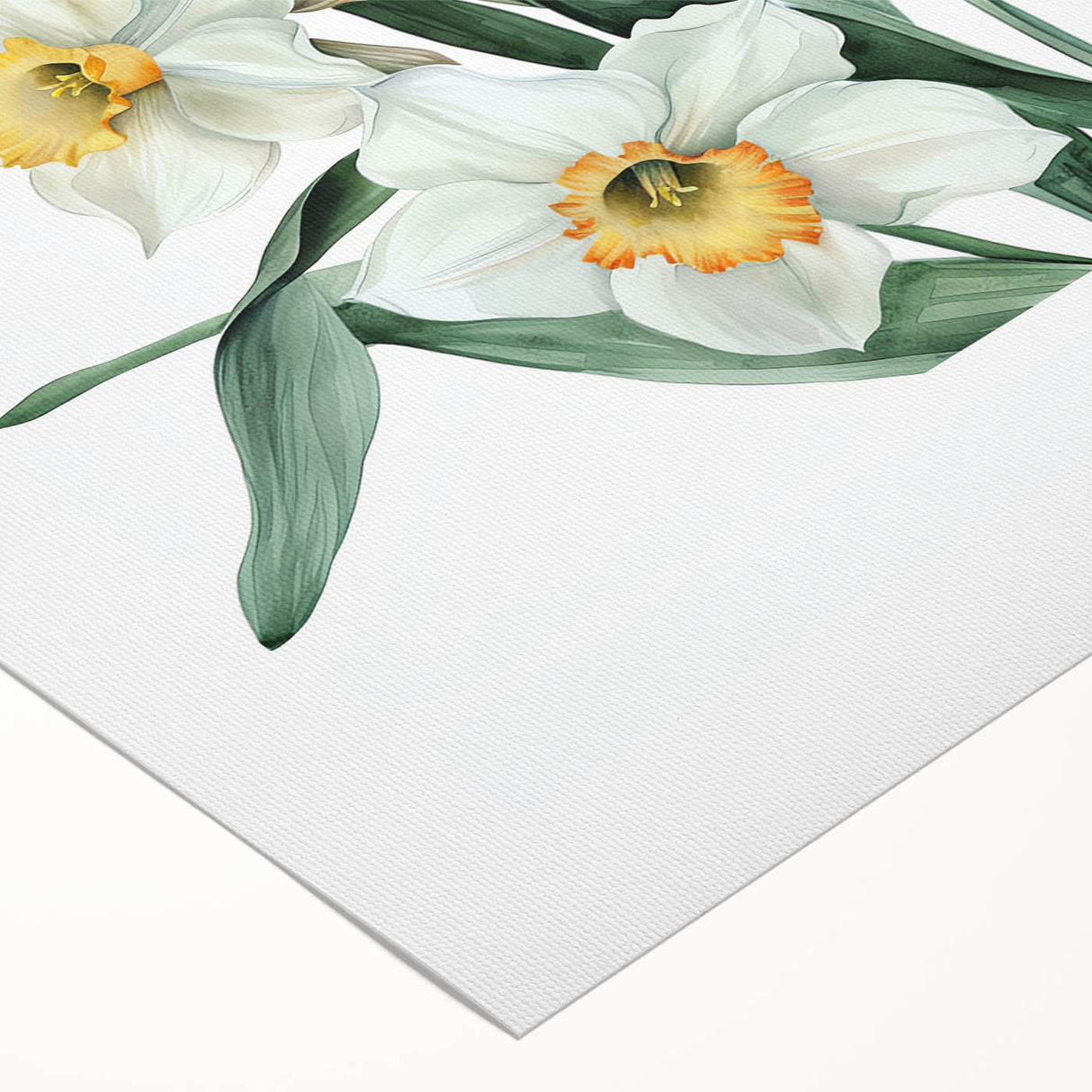 Rolled canvas showcasing a vibrant botanical design of daffodils, featuring intricate details and bright colors, perfect for home decor or floral-themed spaces.