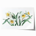 Vibrant rolled print of a botanical daffodil design, showcasing intricate floral details and bright yellow hues, perfect for enhancing home decor aesthetics.
