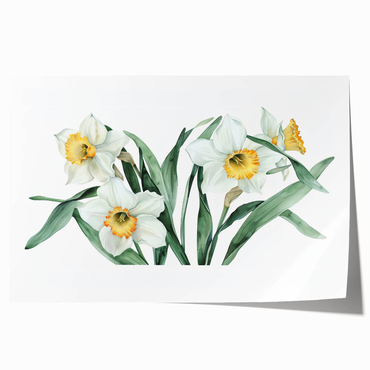 Vibrant rolled print of a botanical daffodil design, showcasing intricate floral details and bright yellow hues, perfect for enhancing home decor aesthetics.