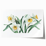 Vibrant rolled print of a botanical daffodil design, showcasing intricate floral details and bright yellow hues, perfect for enhancing home decor aesthetics.