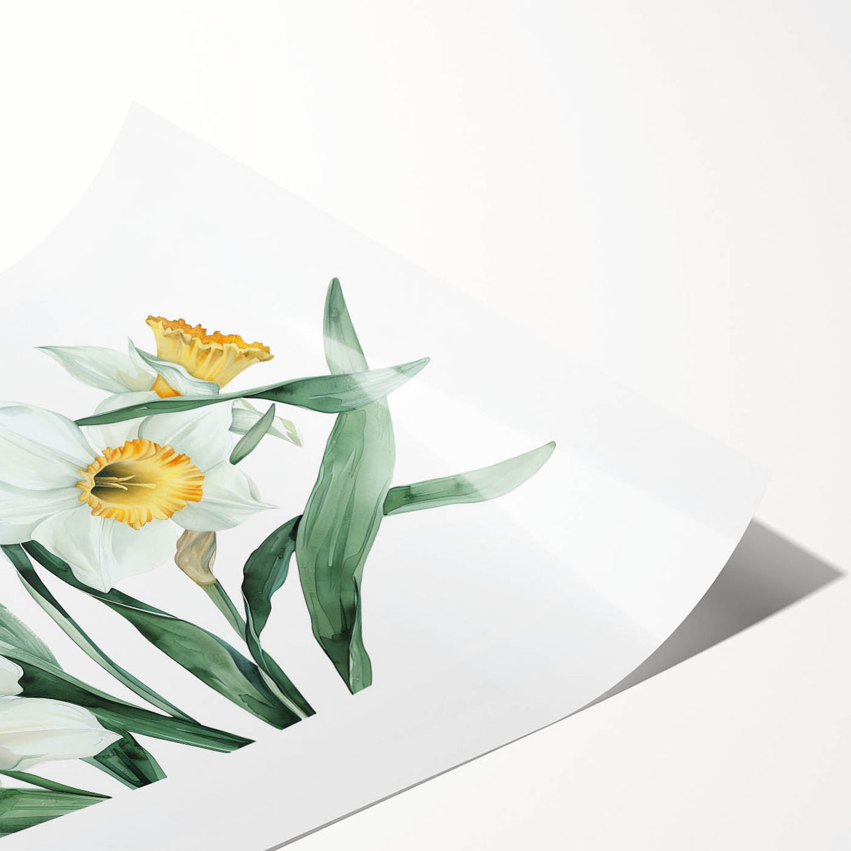 Elegant botanical wall art print of vibrant daffodils with detailed petals, showcasing soft yellow and green hues, ideal for home decor and floral enthusiasts.